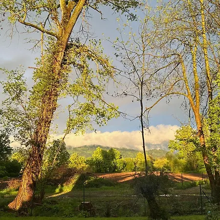Sibylls Landpartie * Oberkirch (Baden)